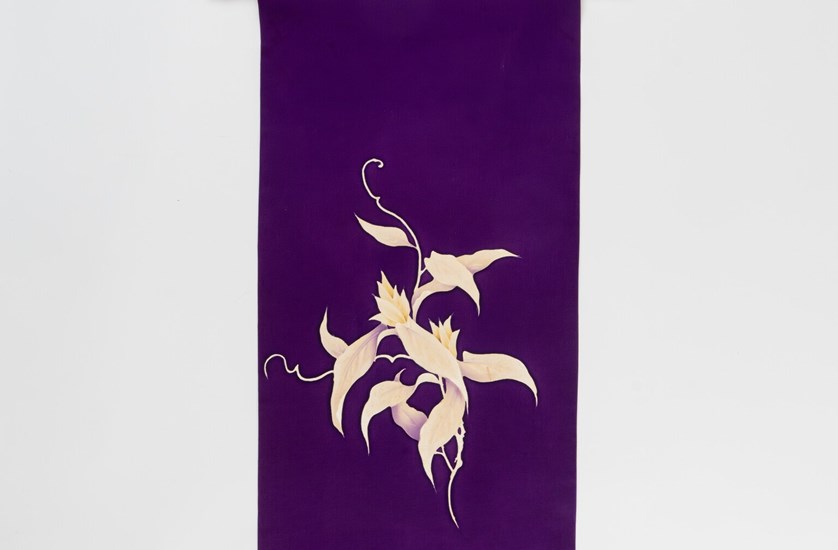 The Koki-Ran, White Orchid in Imperial Purple